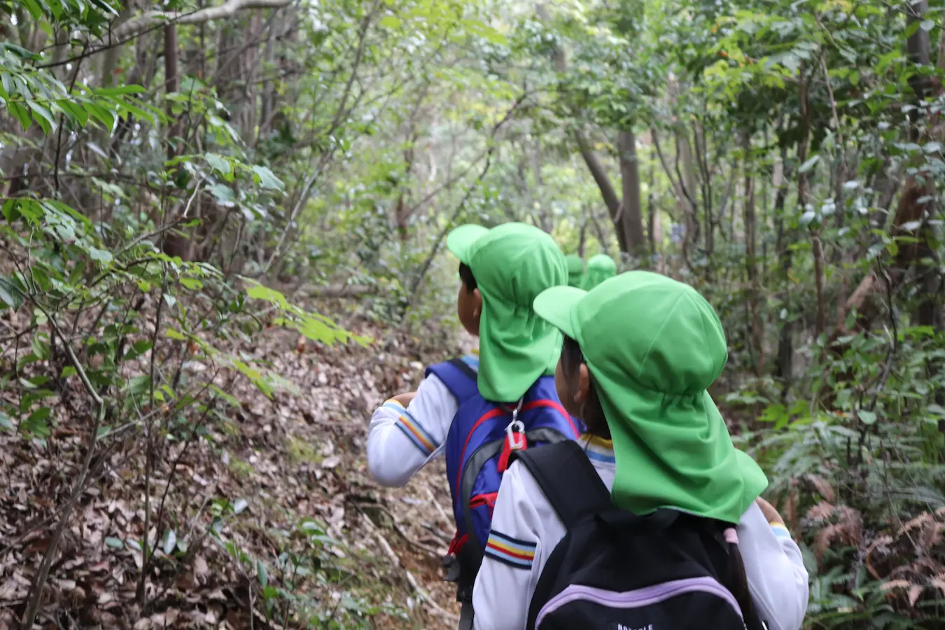 金華山登山