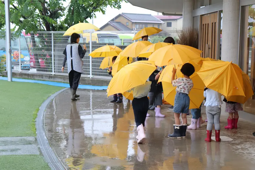 雨降り探検の様子