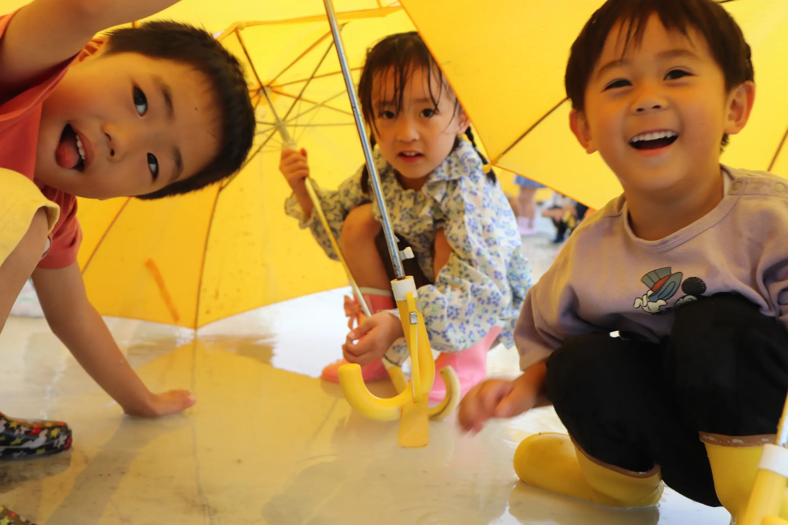 雨降り探検の様子